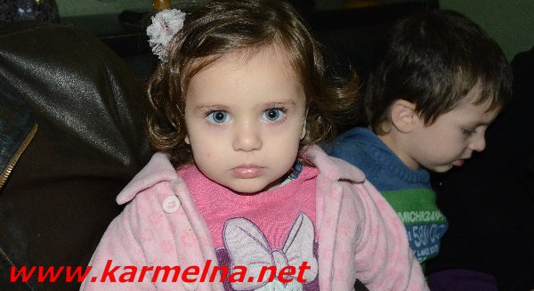 חוגגים שנה חדשה :2013 